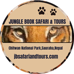 The Jungle Book Safari And Tours